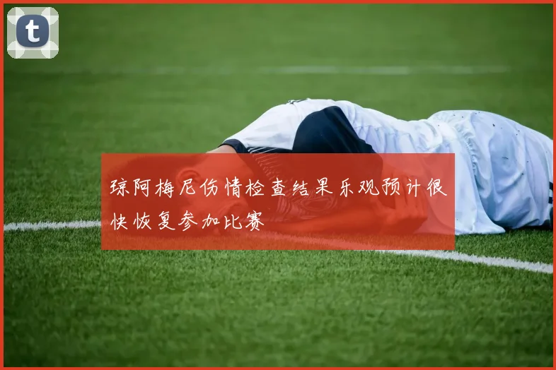琼阿梅尼伤情检查结果乐观预计很快恢复参加比赛