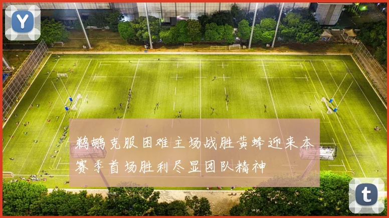 鹈鹕克服困难主场战胜黄蜂迎来本赛季首场胜利尽显团队精神