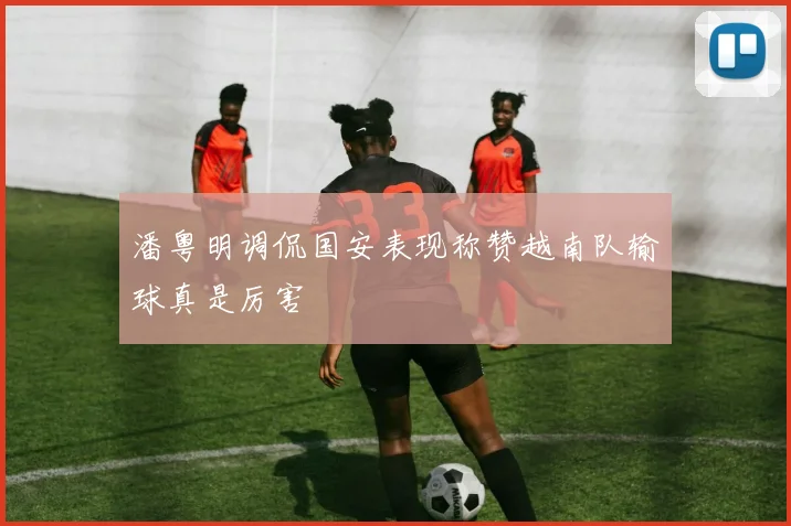 潘粤明调侃国安表现称赞越南队输球真是厉害